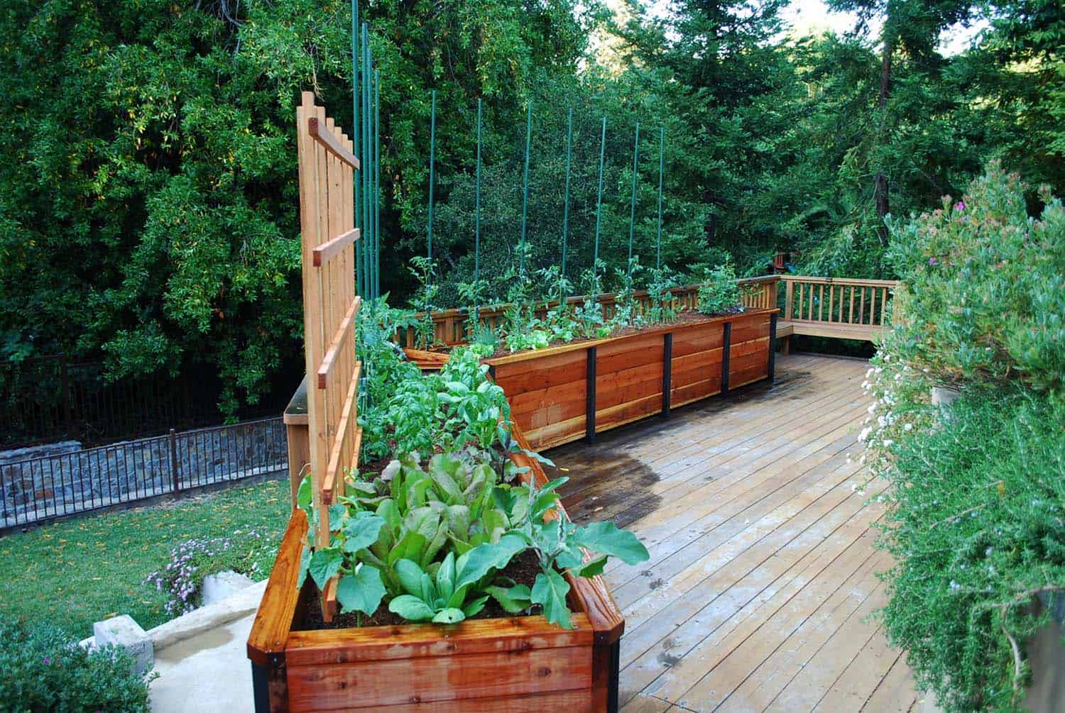 GH Archive Raised-Bed-Vegetable-Garden-Ideas-17