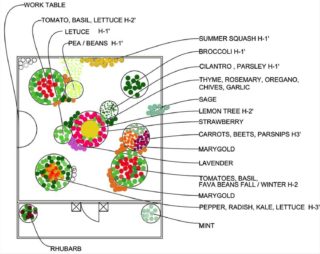 Raised-Bed-Vegetable-Garden-Ideas-11